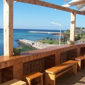  게스트하우스 아프리카 대한민국